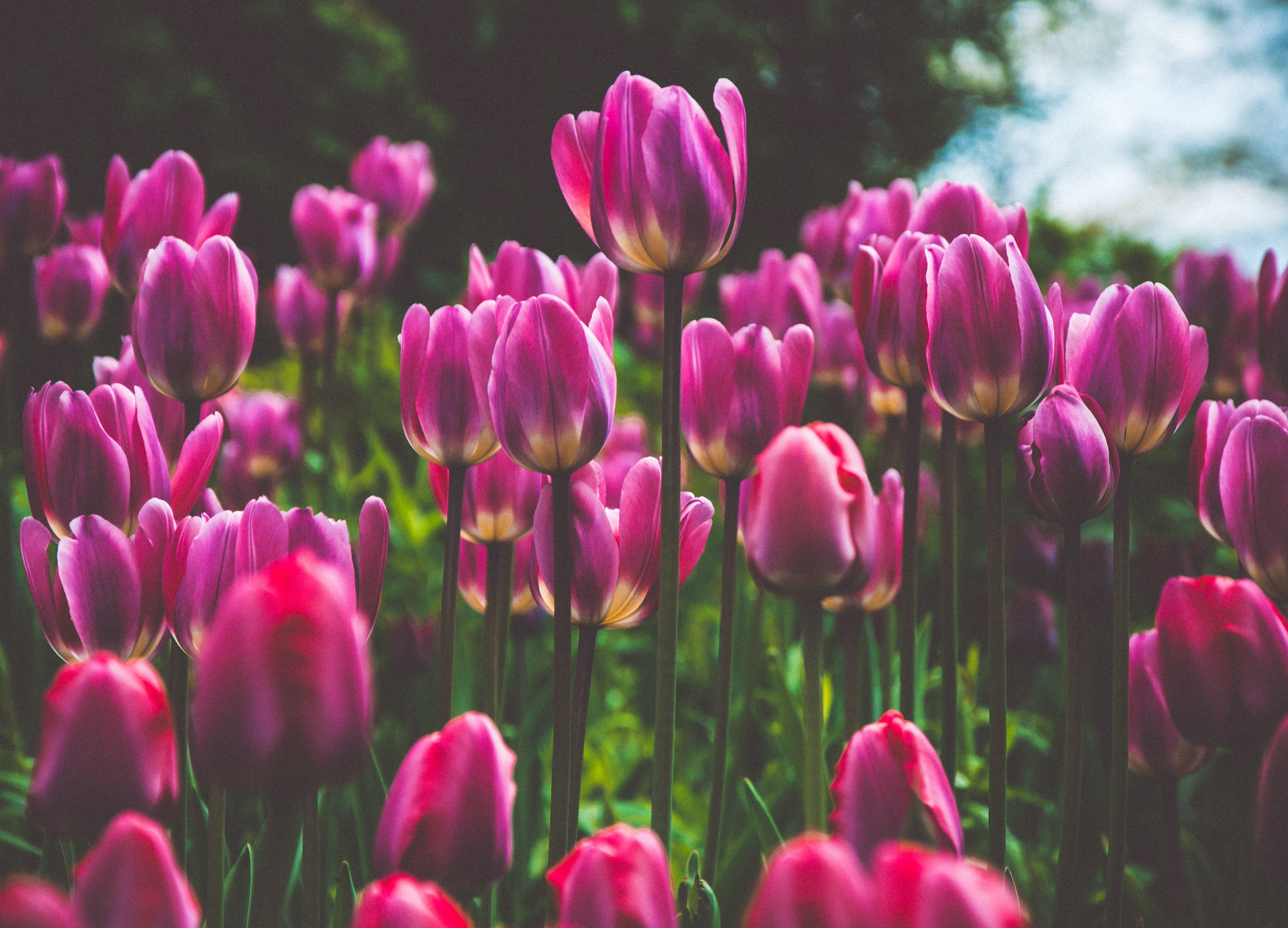 今はエステでキレイになる時代